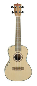 Load image into Gallery viewer, img
