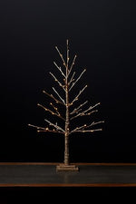 Load image into Gallery viewer, img
