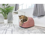 Load image into Gallery viewer, img
