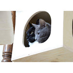 Load image into Gallery viewer, img
