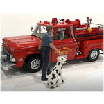 Load image into Gallery viewer, img
