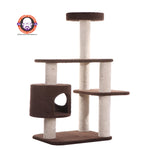 Load image into Gallery viewer, img
